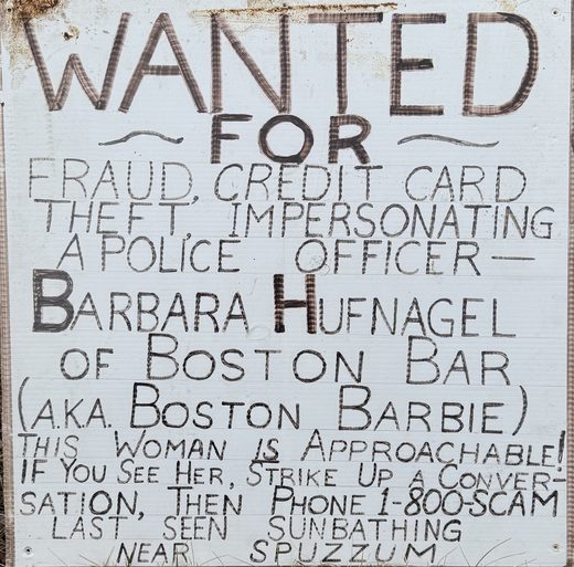 Wanted poster: Boston Barbie