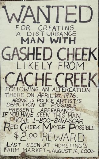 Wanted poster: The Man with the Gashed Cheek