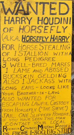 Wanted poster: Horsefly Harry