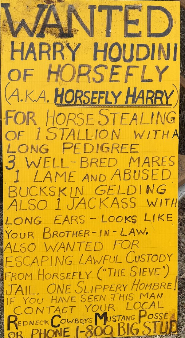 Hand-lettered wanted poster: Horsefly Harry