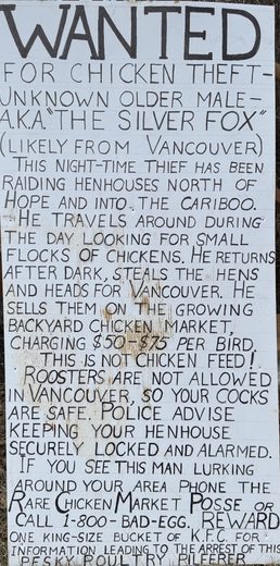 Wanted poster: The Silver Fox